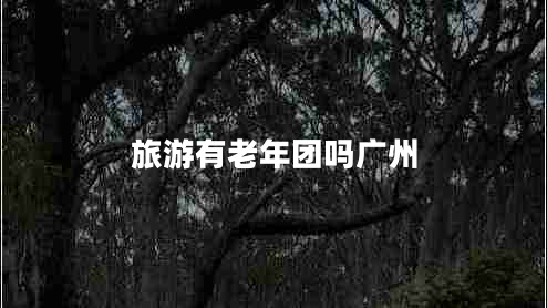 旅游有老年团吗广州