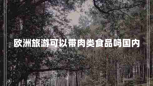 欧洲旅游可以带肉类食品吗国内