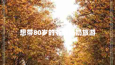 想带80岁的爷爷奶奶旅游