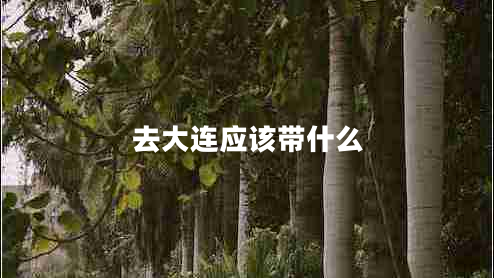 去大连应该带什么
