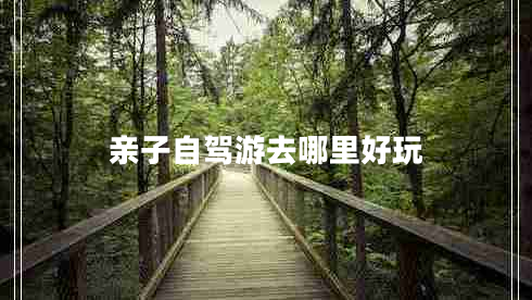 亲子自驾游去哪里好玩