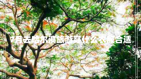 7月去哈尔滨旅游穿什么衣服合适