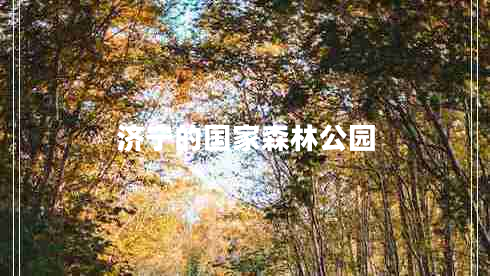 济宁的国家森林公园