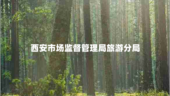 西安市场监督管理局旅游分局