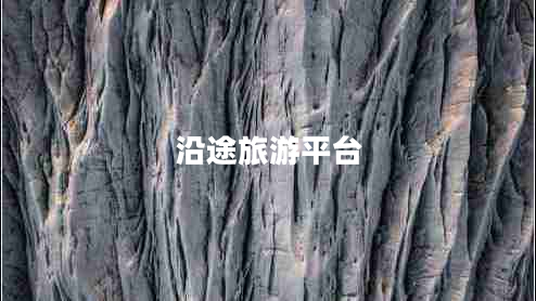 沿途旅游平台