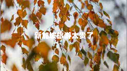 新加坡旅游太贵了