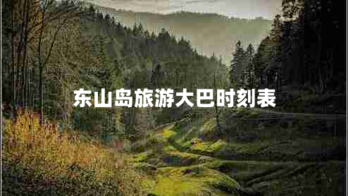 东山岛旅游大巴时刻表