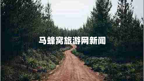 马蜂窝旅游网新闻