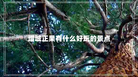 增城正果有什么好玩的景点