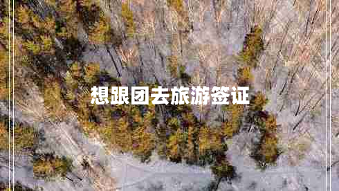 想跟团去旅游签证