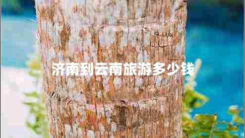 济南到云南旅游多少钱 济南到云南旅游多少钱