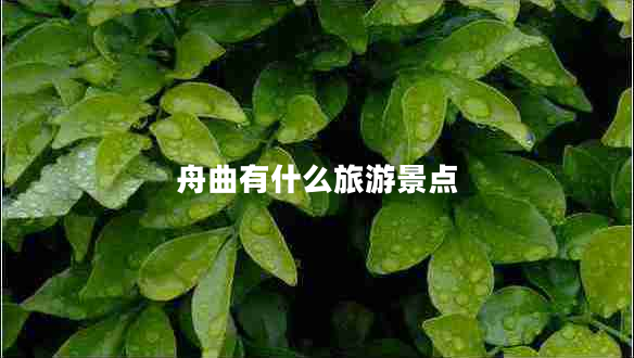 舟曲有什么旅游景点
