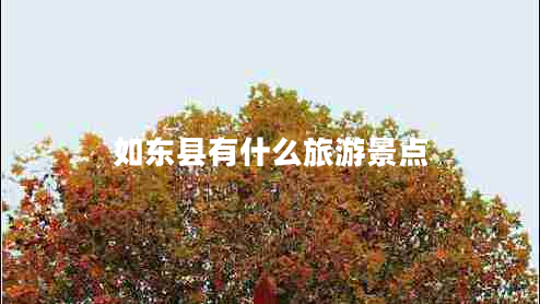 如东县有什么旅游景点