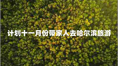 计划十一月份带家人去哈尔滨旅游
