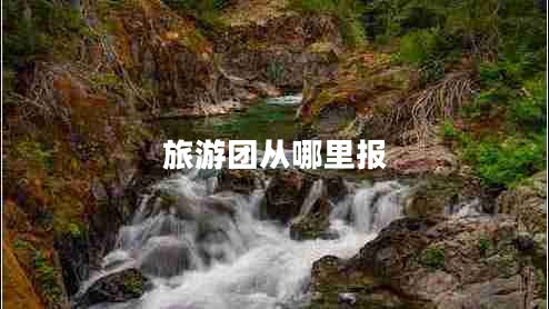 旅游团从哪里报