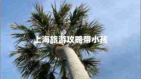 上海旅游攻略带小孩