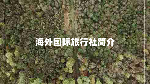 海外国际旅行社简介