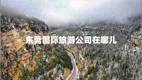 东莞国际旅游公司在哪儿