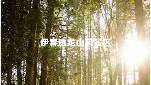 伊春透龙山风景区