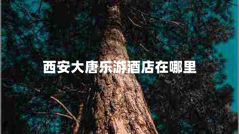 西安大唐乐游酒店在哪里