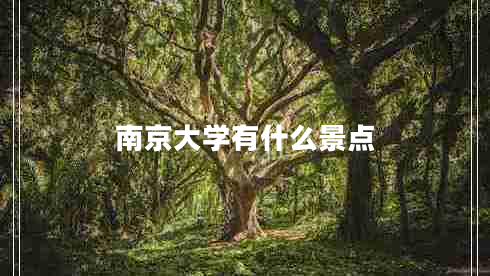 南京大学有什么景点