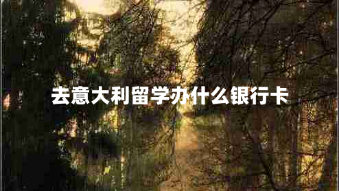 去意大利留学办什么银行卡