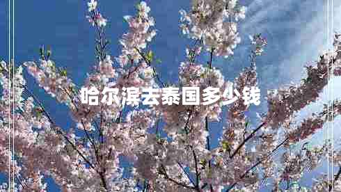 哈尔滨去泰国多少钱