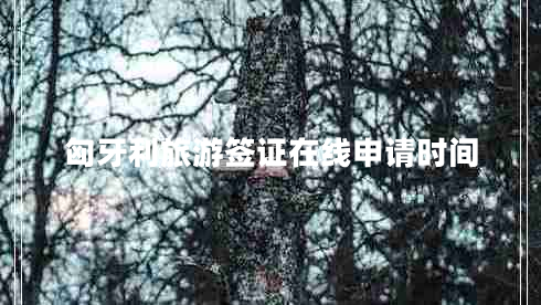 匈牙利旅游签证在线申请时间