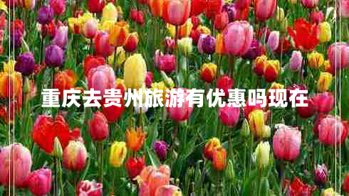 重庆去贵州旅游有优惠吗现在