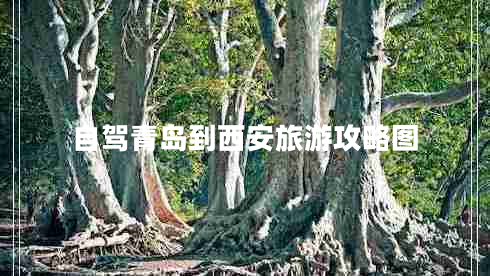 自驾青岛到西安旅游攻略图