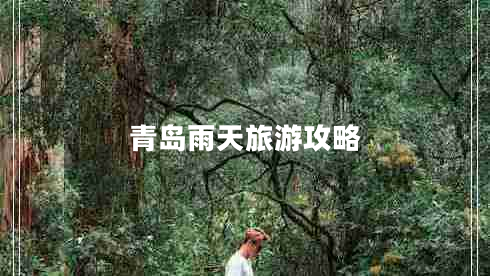 青岛雨天旅游攻略