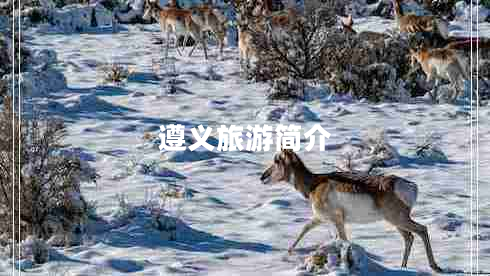 遵义旅游简介