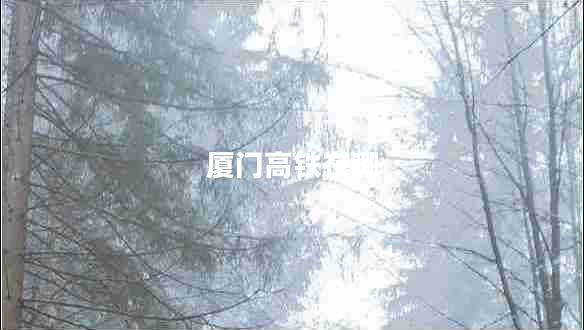 厦门高铁在哪