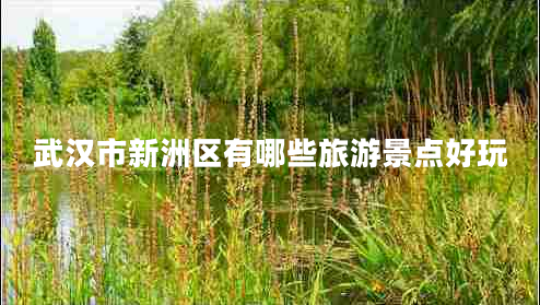 武汉市新洲区有哪些旅游景点好玩