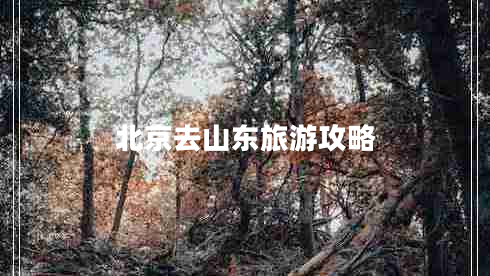 北京去山东旅游攻略