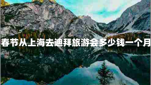 春节从上海去迪拜旅游会多少钱一个月