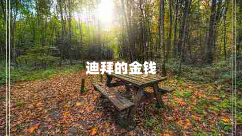 迪拜的金钱