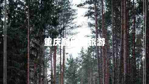 重庆到欧洲旅游
