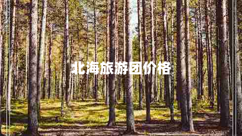 北海旅游团价格