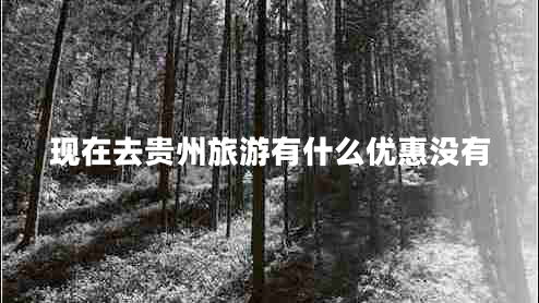 现在去贵州旅游有什么优惠没有