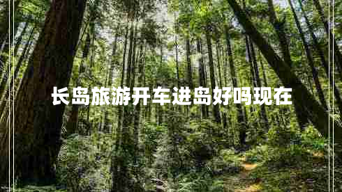 长岛旅游开车进岛好吗现在