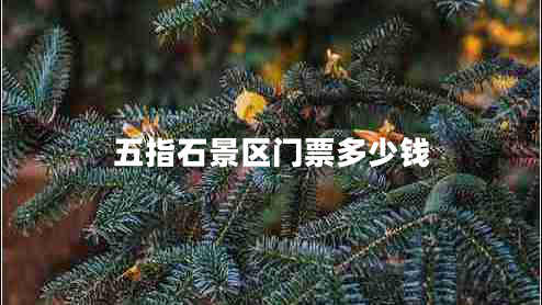 五指石景区门票多少钱