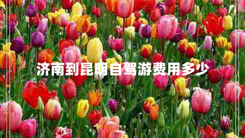 济南到昆明自驾游费用多少