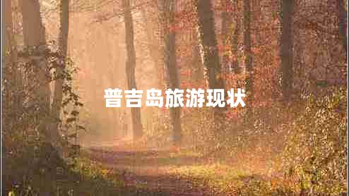 普吉岛旅游现状