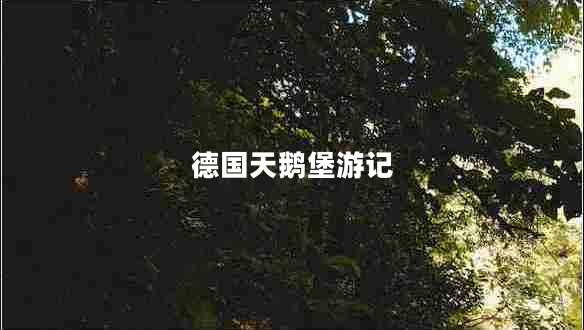 德国天鹅堡游记