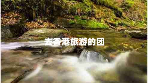 去香港旅游的团 去香港旅游的团