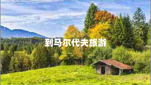 到马尔代夫旅游