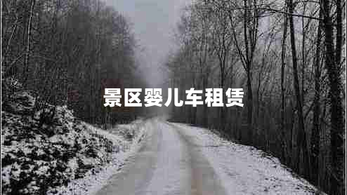 景区婴儿车租赁