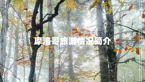 摩洛哥旅游情况简介