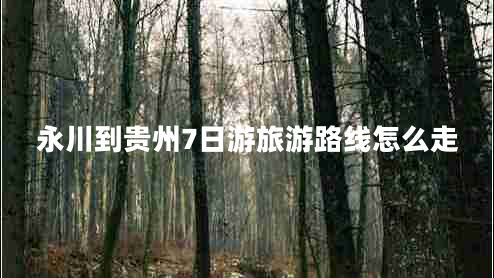 永川到贵州7日游旅游路线怎么走